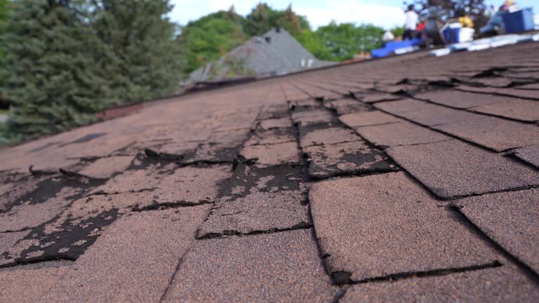Best Rubber Roofing (EPDM, TPO)  in White Oak, PA